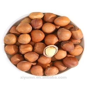 Noisettes séchées de haute qualité pour usage alimentaire Noix crues - Product Image 4