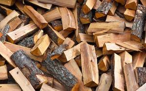 Bois de chauffage de chêne, - Product Image 6