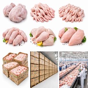 Pollo Entero Congelado de Alta Calidad Directo de Fábrica - Product Image 6