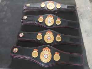 Customize Championship Winner Award Belt - Product Image 2