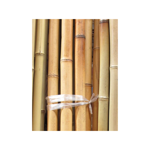 Poteaux en bambou de fabrication du Vietnam de haute qualité avec la taille adaptée aux besoins du client/tubes en bambou naturels de poteau en vrac - Product Image 1