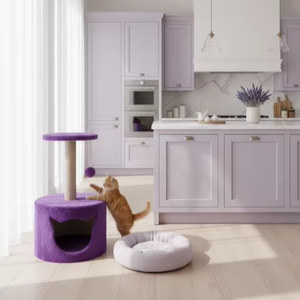 Rascador para gatos Amistar Grape Comfort de alta calidad para gatos de todas las razas y tamaños. - Product Image 5