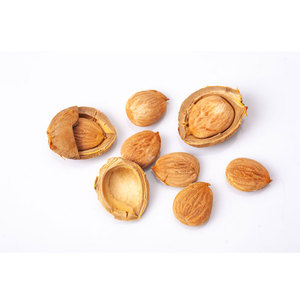 <b>Dried</b> <b>Apricot</b> Kernels | Clean Packing for Export and Food Industry - Product Image 6