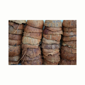 Cuenco de coco natural de Vietnam, mitades de cáscara de coco para comedero de mascotas y fabricante de velas, tendencia caliente 2024 - Product Image 2