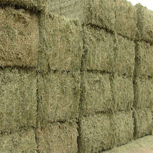 Venta al por mayor de heno de alfalfa alimento proteico sostenible a base de hierba para ganado porcino caballo complementado con maíz - Product Image 2