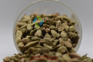 Venta al por mayor Premium Pure Green Cardamom Directamente de Tanzania Agriculture Products - Product Image 5