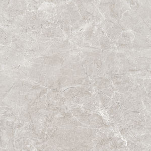 ซัพพลายเออร์อินเดียกระเบื้องเซรามิกเอเชียที่ถูกที่สุดการผลิตกระเบื้องยกสูงในอินเดียสําหรับ Gaurage - Product Image 2