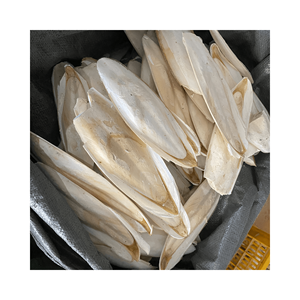 Produit meilleur prix de 99GD | Os de seiche séché Nourriture pour oiseaux Nourriture pour tortue aquatique Nourriture pour animaux de compagnie Bec de perroquet - Product Image 3