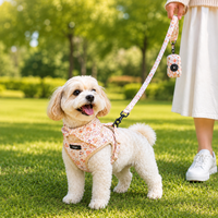 Harnais et laisse pour chien imprimé trèfle Moka, ensemble réglable et doux pour petits chiens et chiots, accessoires de promenade OEM ODM