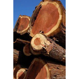 Madera blanda industrial duradera de madera roja suministrada en volumen para contratistas y distribuidores de compradores globales - Product Image 4