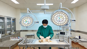 Lampada Chirurgica a LED di Grado Medicale con Regolazione della Temperatura Colore e Pannello Touch, Supporto OEM per il Mercato Globale - Product Image 3