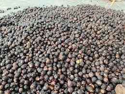 Bayas de Jabonera Secas Naturales para Lavandería Ecológica, Uso Doméstico, Proveedor Mayorista de Vietnam - Product Image 3