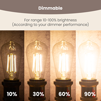 Fabricant direct ampoule à filament LED Edison 4W E26 110V ST21 450LM verre à intensité variable sans scintillement ampoules LED CUL résidentiel