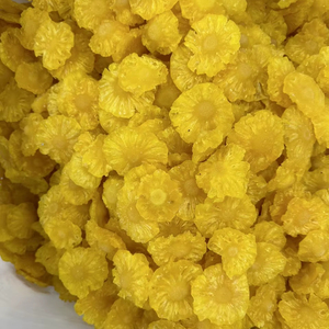DRIED <b>PINEAPPLE</b> HIGH QUALITY DRIED <b>PINEAPPLE</b> COMPETITIVE PRICE FROM VIETNAM / Soft Chewy <b>Pineapple</b> Rings / Chunks, Bulk Supply - Product Image 1