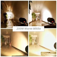 Extérieur 250W COB Zoom Par Blanc Chaud Blanc Froid 2in1 Auto Zoom Led Cob Étanche Par Lumière Pour Studio Théâtre Événements