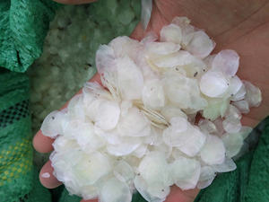 เครื่องชั่งปลาเกรดสูงผลิตภัณฑ์แห้งวัสดุธรรมชาติแท้ใช้สำหรับการทำเครื่องสำอาง - Product Image 3