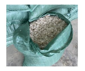 Écailles de poisson en gros du Vietnam-Écailles de bar et de tête de serpent de tilapia de haute qualité pour les usines en vrac de gélatine de collagène - Product Image 6