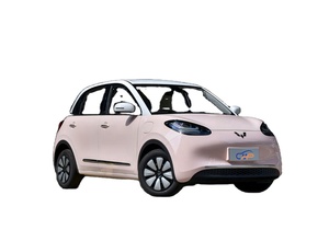 Mini SUV électrique de style Bingguo 2023, charge rapide, autonomie de 203 km, compact, nouvelle énergie, berline électrique pour usage privé - Product Image 3