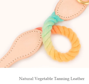 Rainbow Cotton Rope Leather <b>Dog</b> Collar <b>Leash</b> Accessory Customized Colored Cotton Rope Handmade <b>Dog</b> <b>Leash</b> Pet <b>Leash</b> - Product Image 3