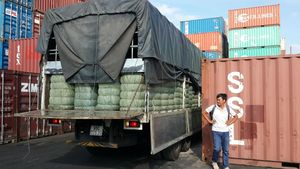 Hojas Secas de Gelatina Negra, Hojas Herbales Secas Vietnamitas, Gelatina Negra Seca, Gelatina Negra 2025 - Product Image 3