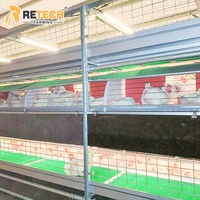 Système de cages d'élevage automatiques pour poulets de chair, type H, 4 niveaux, galvanisé à chaud, pour 10 000 poulets, à vendre