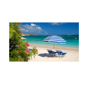 Large Quantities of Versatile & Sturdy Beech <b>Wood</b> <b>Logs</b> Price for Various Projects - Product Image 4