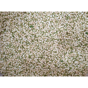 Bourgeons de jasmin lisses séchés et emballés sans conservateurs, parfaits pour la préparation du thé et les boissons parfumées - Product Image 3