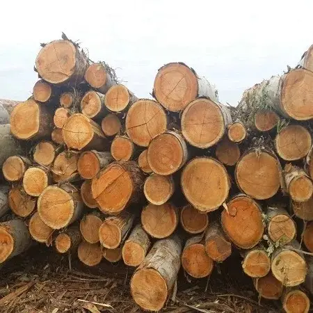 ไม้ซุงอุตสาหกรรมยาว6ฟุตทนทานประหยัดพลังงานบล็อกไม้มะเกลือสำหรับขายไม้สักไม้แปรรูปไม้สัก