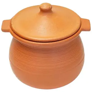 Get Amazing biryani in clay pot For Kitchen Upgrades 