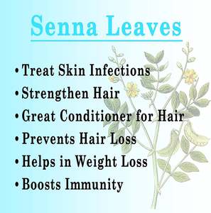 100% Fournisseur et fabricant de poudre de feuille de séné de qualité alimentaire biologique pure et naturelle en Inde - Product Image 2