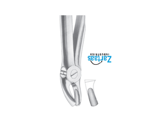 Pince d'extraction en acier inoxydable de haute qualité molaires supérieures fig. 18B exportateurs et fabricant - Product Image 2