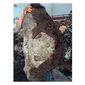 Wholesale Export Quality 2025 Kenyan Hides and Skins at Cheap Market Prices Amazing Grade 1 Kenyan Raw Wet Salted Cow Hides/Skin - Product Image 3