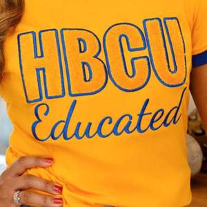 HBCU Women's Blue Gold Chenille <b>Tee</b> Premium Cotton T-<b>Shirt</b> Classic Fit Greek Apparel Soft Comfortable Stylish Embroidered Logo - Product Image 2