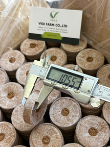 Pellets de coco premium du Vietnam - Substrat naturel pour la culture des semis - Product Image 3