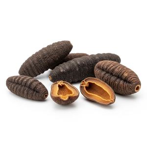 Pepino de mar natural seco al por mayor, pepino de mar seco envasado con proteínas y minerales esenciales en venta - Product Image 3