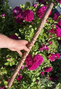 ไม้เท้าไม้ธรรมชาติสำหรับผู้สูงอายุที่มีที่วางหลายรูปร่างและการบำบัดฟื้นฟู - Product Image 5