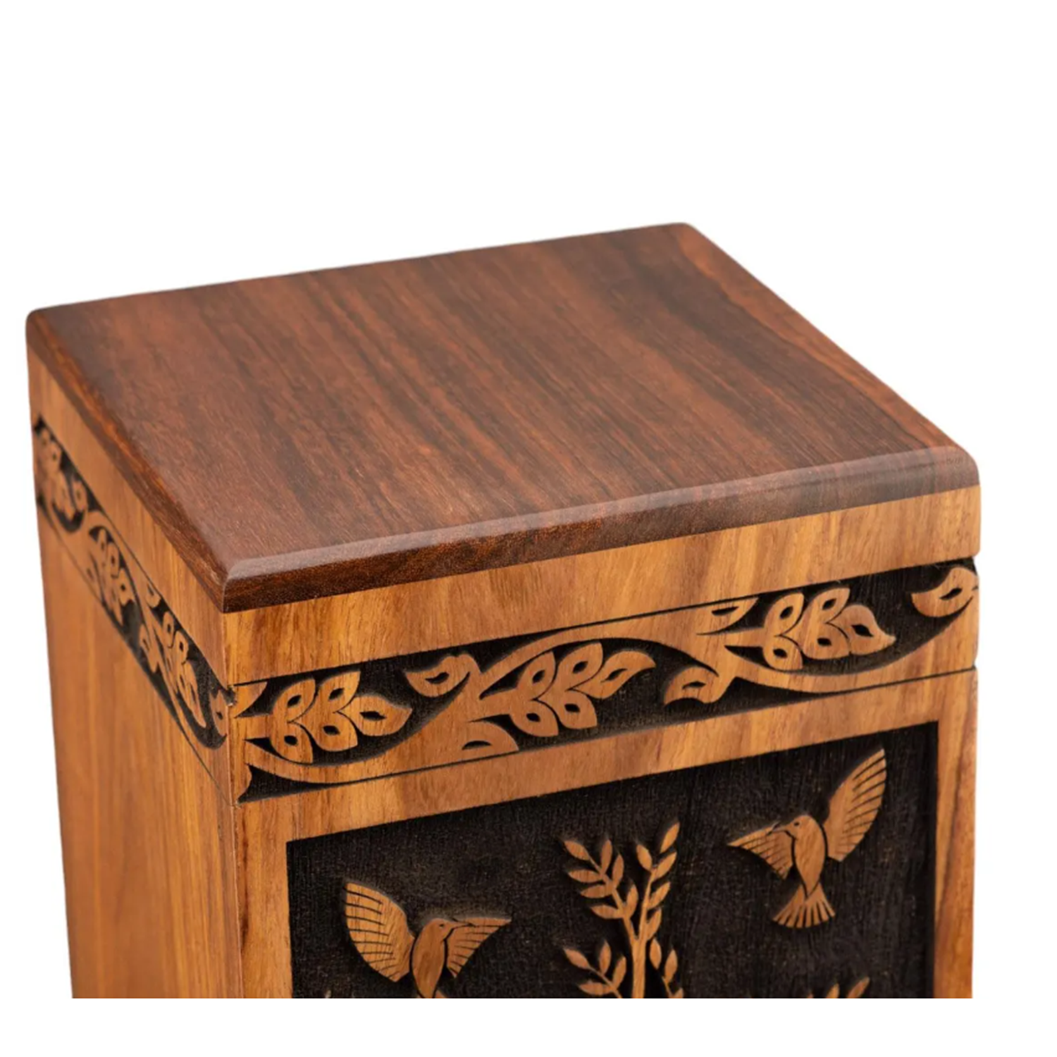 สีน้ำตาล