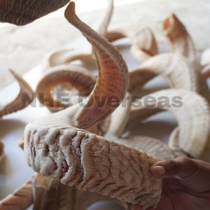 Masticables de Cuerno de Carnero Natural Premium para Perros, Golosinas Orgánicas Duraderas, Saludables y Seguras para Masticadores Fuertes y Cachorros en Crecimiento - Product Image 3