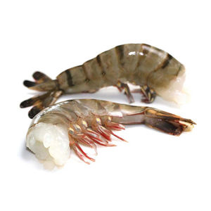 Fournisseur de fruits de mer de première qualité, crevettes tigrées noires entières, capture sauvage - Product Image 5
