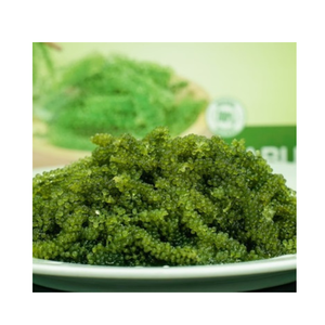 Raisins de mer séchés de qualité supérieure Algues réhydratées Vegan sain Superfood du Vietnam OEM disponible - Product Image 4