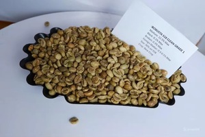 Granos de Café Robusta Verdes de Alta Calidad, Orgánicos, Sin Tostar y Tostados, Directamente de la Granja, los Más Vendidos, OEM ODM, Empaquetados - Product Image 5