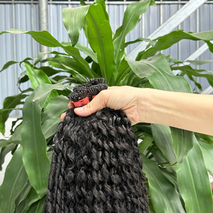 12A Extensions de cheveux bruts vietnamiens Afro Kinky Curly Natural Black 100% Bundles de tissage de cheveux humains non transformés - Product Image 2