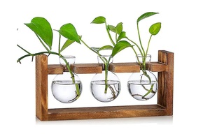 Vase en bois avec tube en verre Look moderne de haute qualité Finition naturelle Vase en verre en bois Décor élégant et chic Tube en verre - Product Image 2