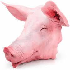 หัวหมูออร์แกนิกแช่แข็งพิเศษกล่องบรรจุสินค้าต้นทุนต่ำมีคุณค่าทางโภชนาการ - Product Image 3