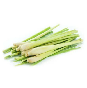 Vente en gros de citronnelle fraîche 100% sans taxe en provenance du Vietnam, produit agricole de qualité supérieure - Product Image 1