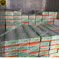 Pulpe de Sop aigre congelée IQF avec des graines/produits frais sans pépins du Vietnam