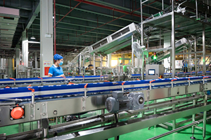 Bán Buôn Denavis 100% Gốc Dừa Nước Với Bột Giấy 330Ml Có Thể Từ Việt Nam Thấp Calorie-Miễn Phí Mẫu-OEM Được Chấp Nhận - Product Image 6