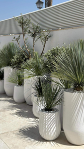 Pot de fleurs en FRP (fibre de verre) de haute qualité, grand modèle, design classique pour la maison, le jardin extérieur, la pépinière, artificiel - Product Image 2