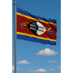 Drapeau extérieur personnalisé d'Eswatini, imprimé numériquement en polyester, fanion, mât de drapeau de plage en aluminium, drapeau de plage personnalisé avec nom - Product Image 3
