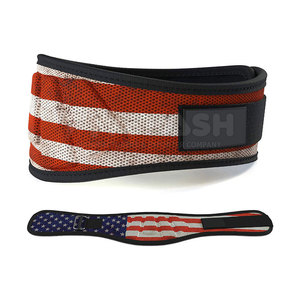 Body Building Gym <b>Back</b> <b>Support</b> Neoprene Belts Factory Wholesale Price Custom Gym Power Weight Lifting Belt - Product Image 4